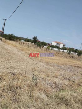 Land plot 780sqm for sale-Pella » Livaditsa