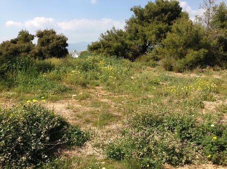 Οικόπεδο 444τ.μ. για πώληση-Νέα πεντέλη