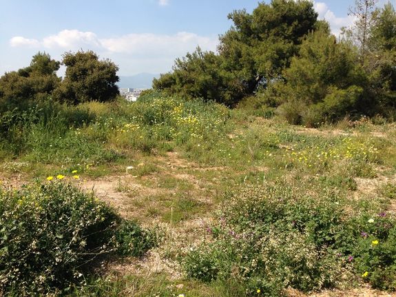 Οικόπεδο 444 τ.μ. για πώληση, Αθήνα - Βόρεια Προάστια, Νέα Πεντέλη