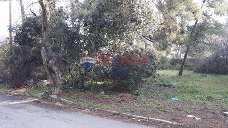 Οικόπεδο 708τ.μ. για πώληση-Δροσιά