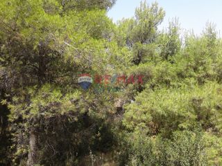 Οικόπεδο 505 τ.μ. για πώληση