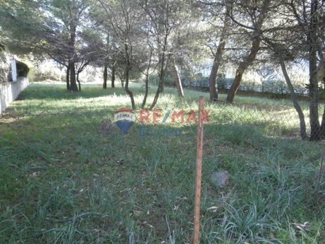 Οικόπεδο 204 τ.μ. για πώληση
