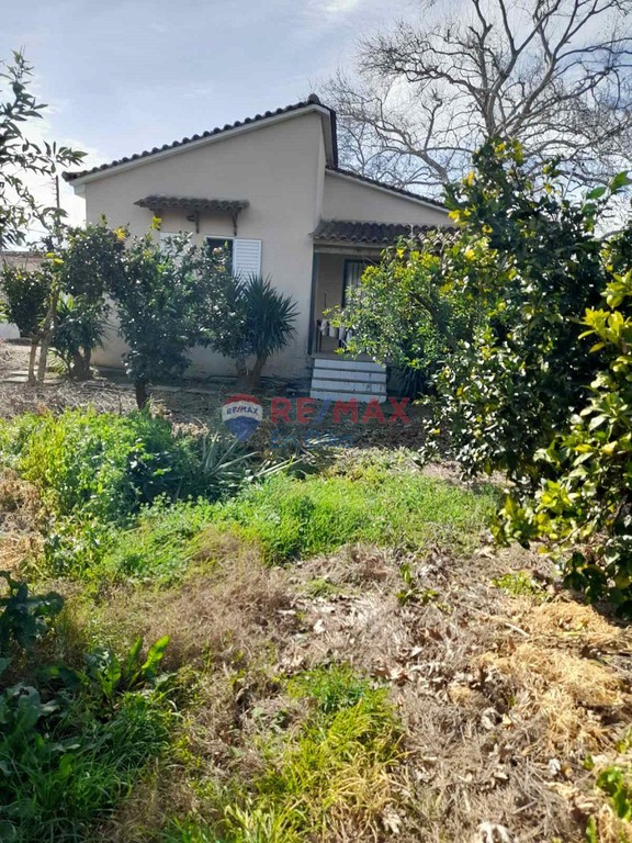 Αγροτεμάχια 14.100 τ.μ. προς πώληση, Γαστούνη