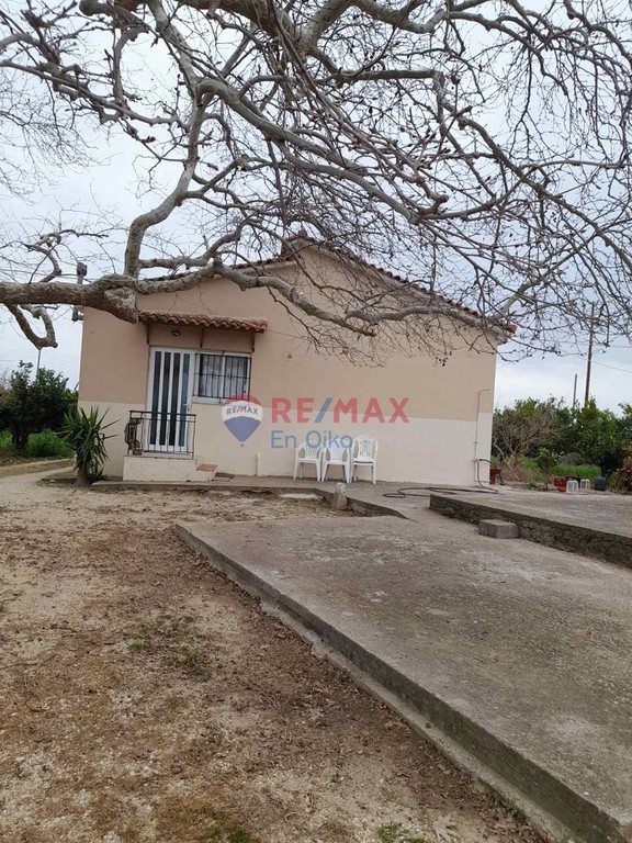 Αγροτεμάχια 14.100 τ.μ. προς πώληση, Γαστούνη