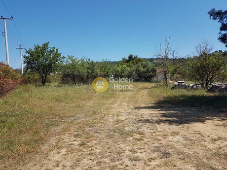 Οικόπεδο 7.215τ.μ. για ενοικίαση-Πολυδένδρι