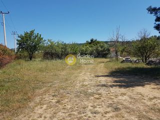Οικόπεδο 7.215 τ.μ. για ενοικίαση