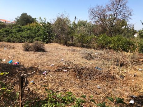 Land plot 22.000sqm for sale-Oreoi