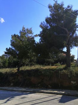 Οικόπεδο 681 τ.μ. για πώληση