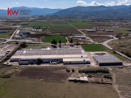 Industrial space 15.000sqm for sale-Livadeia