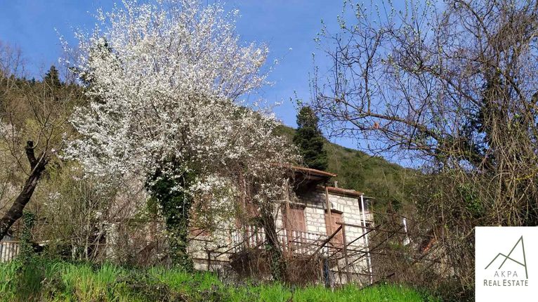 Μονοκατοικία 110 τ.μ. για πώληση, Ευρυτανία, Ποταμιάς