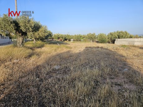 Land plot 2.289sqm for sale-Megara