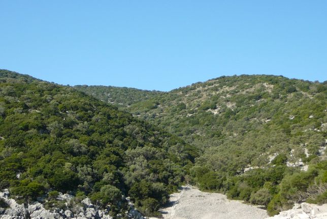 Αγροτεμάχια 18.000 τ.μ. για πώληση, Ν. Λευκάδας, Μεγανήσι