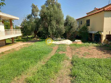 Οικόπεδο 437τ.μ. για πώληση-Νέα μάκρη » Κέντρο