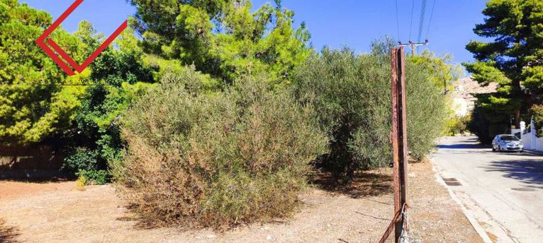 Οικόπεδο 970 τ.μ. για πώληση, Αττική - Υπόλοιπο, Σαρωνίδα