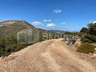 Αγροτεμάχια 26.618 τ.μ. για πώληση, Αργολίδα, Επίδαυρος-thumb-19