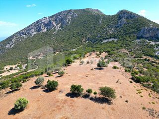 Αγροτεμάχια 26.618 τ.μ. για πώληση, Αργολίδα, Επίδαυρος-thumb-12