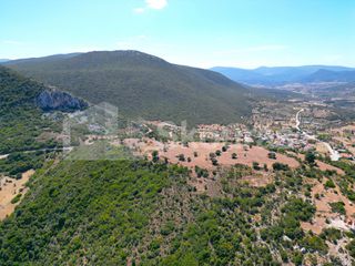 Αγροτεμάχια 26.618 τ.μ. για πώληση, Αργολίδα, Επίδαυρος-thumb-13