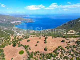 Αγροτεμάχια 26.618 τ.μ. για πώληση, Αργολίδα, Επίδαυρος-thumb-9