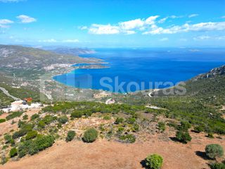 Αγροτεμάχια 26.618 τ.μ. για πώληση, Αργολίδα, Επίδαυρος-thumb-16
