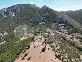 Αγροτεμάχια 26.618 τ.μ. για πώληση, Αργολίδα, Επίδαυρος-thumb-11