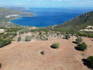 Αγροτεμάχια 26.618 τ.μ. για πώληση, Αργολίδα, Επίδαυρος-thumb-10