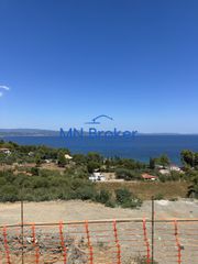 Βίλλα 313 τ.μ. για πώληση, Χαλκιδική, Σιθωνία-thumb-4
