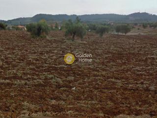 Αγροτεμάχια 5.000 τ.μ. για πώληση, Χαλκιδική, Κασσάνδρα-thumb-8