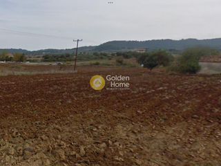 Αγροτεμάχια 5.000 τ.μ. για πώληση, Χαλκιδική, Κασσάνδρα-thumb-5