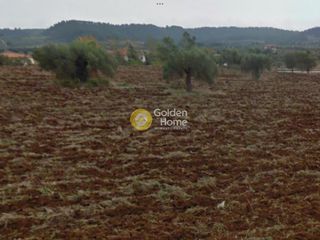 Αγροτεμάχια 5.000 τ.μ. για πώληση, Χαλκιδική, Κασσάνδρα-thumb-7
