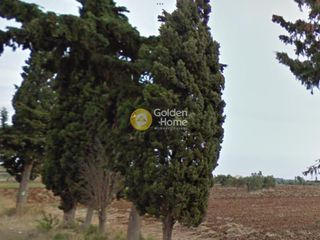 Αγροτεμάχια 5.000 τ.μ. για πώληση, Χαλκιδική, Κασσάνδρα-thumb-6