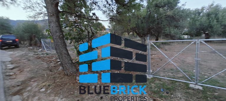 Οικόπεδο 392 τ.μ. για πώληση, Αθήνα - Ανατολικά Προάστια, Παιανία
