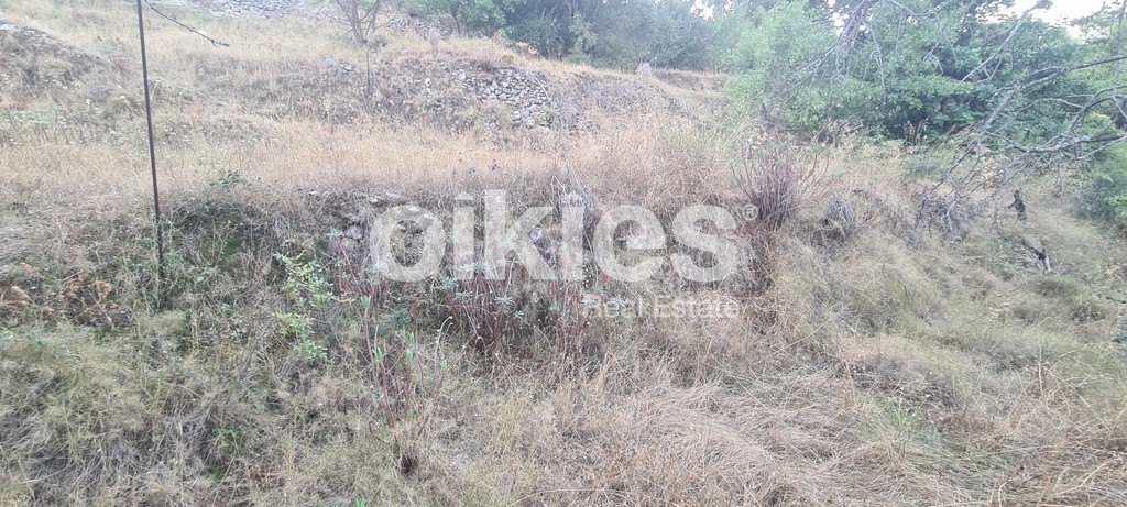Αγροτεμάχια 373 τ.μ. προς πώληση, Ομηρούπολη