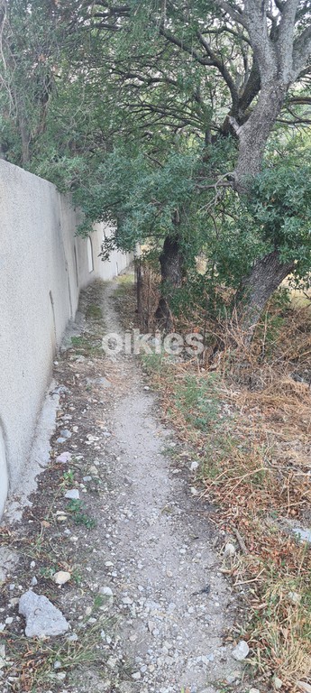 Αγροτεμάχια 373 τ.μ. προς πώληση, Ομηρούπολη