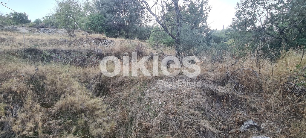 Αγροτεμάχια 373 τ.μ. προς πώληση, Ομηρούπολη