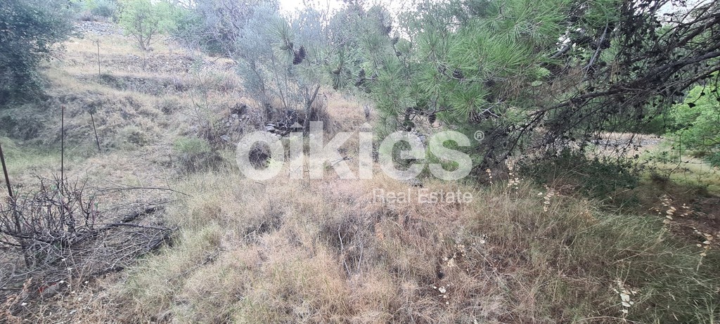 Αγροτεμάχια 373 τ.μ. προς πώληση, Ομηρούπολη