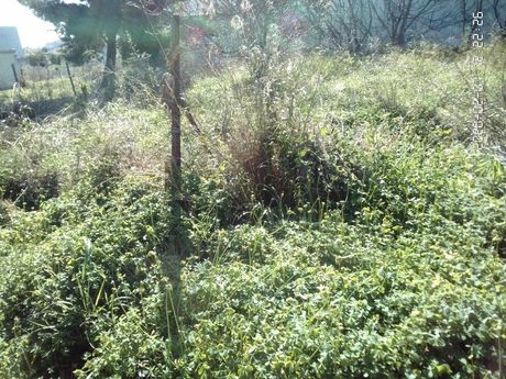 Land plot 508sqm for sale-Glika Nera