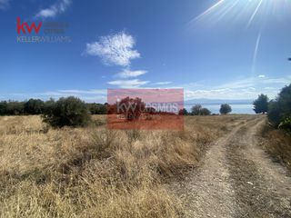Αγροτεμάχια 9.435 τ.μ. για πώληση, Εύβοια, Ληλάντιο-thumb-22