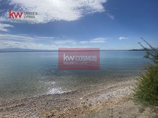 Αγροτεμάχια 9.435 τ.μ. για πώληση, Εύβοια, Ληλάντιο-thumb-7