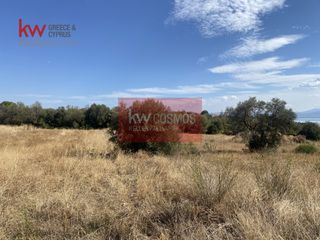 Αγροτεμάχια 9.435 τ.μ. για πώληση, Εύβοια, Ληλάντιο-thumb-21