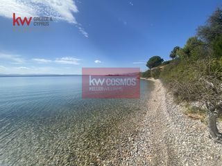 Αγροτεμάχια 9.435 τ.μ. για πώληση, Εύβοια, Ληλάντιο-thumb-6