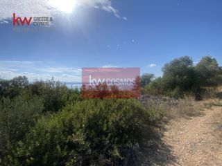 Αγροτεμάχια 9.435 τ.μ. για πώληση, Εύβοια, Ληλάντιο-thumb-16