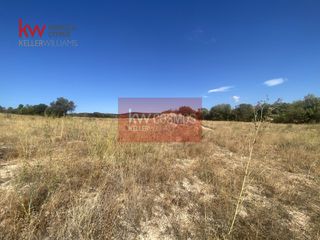 Αγροτεμάχια 9.435 τ.μ. για πώληση, Εύβοια, Ληλάντιο-thumb-10