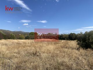 Αγροτεμάχια 9.435 τ.μ. για πώληση, Εύβοια, Ληλάντιο-thumb-20