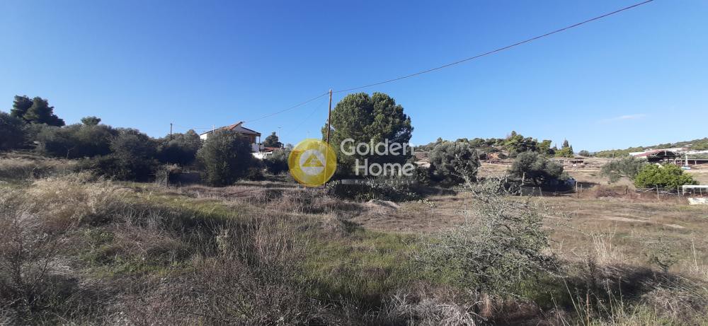 Οικόπεδο 1.292 τ.μ. προς πώληση, Κέντρο Νέας Αρτάκης