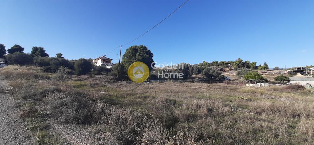 Οικόπεδο 1.292 τ.μ. προς πώληση, Κέντρο Νέας Αρτάκης