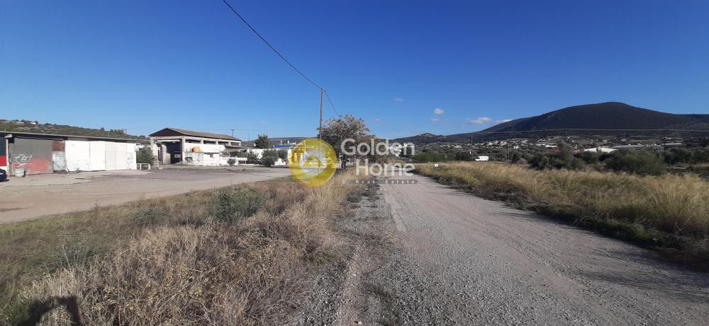 Οικόπεδο 1.292 τ.μ. προς πώληση, Κέντρο Νέας Αρτάκης