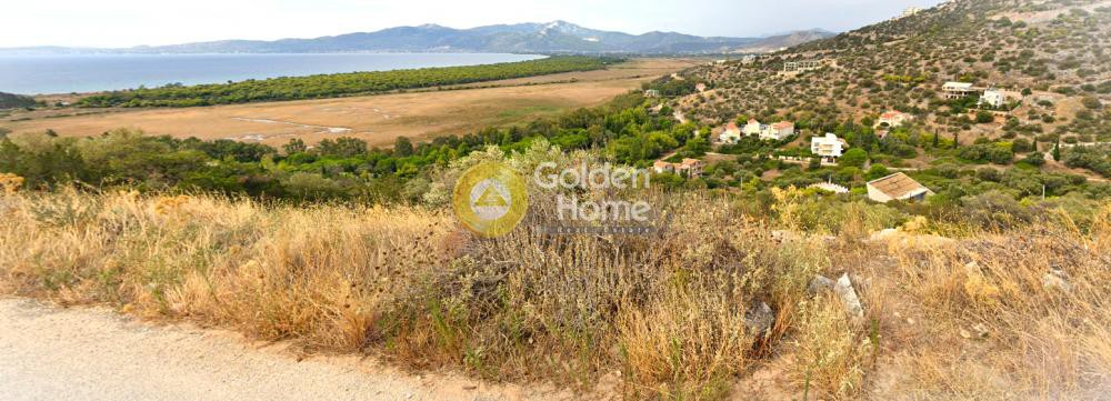 Οικόπεδο 1.024 τ.μ. προς πώληση, Δικαστικά Μαραθώνα