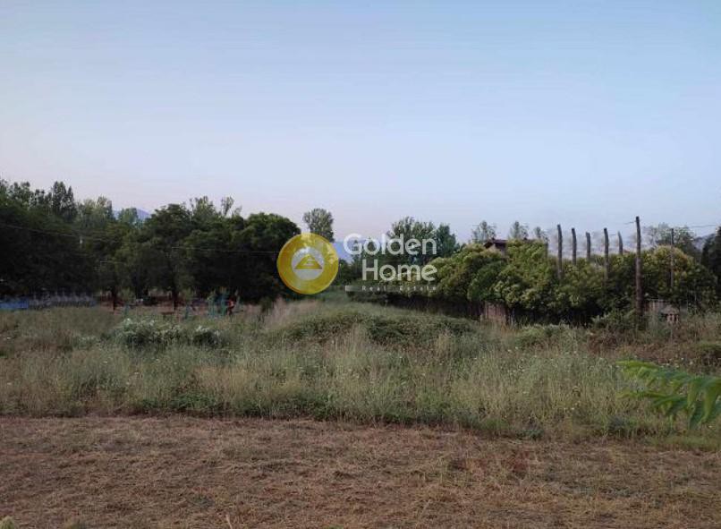 Οικόπεδο 1.910 τ.μ. προς πώληση, Λιλαία