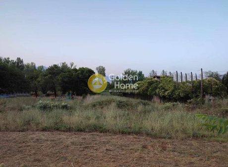 Οικόπεδο 1.910τ.μ. για πώληση-Παρνασσός » Λιλαία