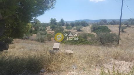 Οικόπεδο 24.750τ.μ. για πώληση-Βίλια » Λούμπα